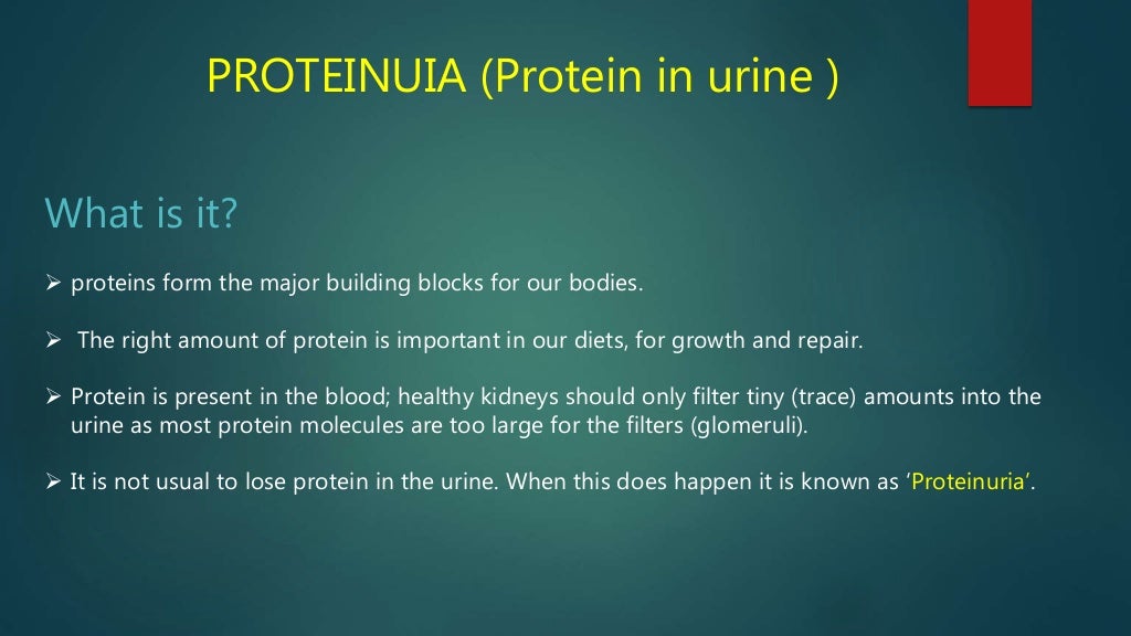 Proteinuria