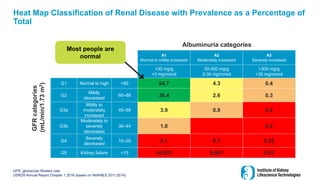 A1
Normal to mildly increased
A2
Moderately increased
A3
Severely increased
<30 mg/g
<3 mg/mmol
30-300 mg/g
3-30 mg/mmol
>300 mg/g
>30 mg/mmol
G1 Normal to high >90 54.7 4.3 0.4
G2
Mildly
decreased
60–89 30.4 2.6 0.3
G3a
Mildly to
moderately
increased
45–59 3.9 0.9 0.2
G3b
Moderately to
severely
decreased
30–44 1.0 0.2
G4
Severely
decreased
15–29 0.1 0.1 0.22
G5 Kidney failure <15 <0.001 0.001 0.01
Heat Map Classification of Renal Disease with Prevalence as a Percentage of
Total
GFR, glomerular filtration rate;
USRDS Annual Report Chapter 1 2016 (based on NHANES 2011-2014).
Most people are
normal
Albuminuria categories
GFR
categories
(mL/min/1.73
m
2
)
 