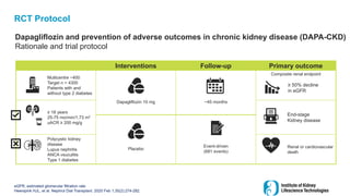RCT Protocol
Dapagliflozin and prevention of adverse outcomes in chronic kidney disease (DAPA-CKD)
Rationale and trial protocol
eGFR, estimated glomerular filtration rate
Heerspink HJL, et al. Nephrol Dial Transplant. 2020 Feb 1;35(2):274-282.
Interventions Follow-up Primary outcome
Multicentre ~400
Target n = 4300
Patients with and
without type 2 diabetes
Dapagliflozin 10 mg ~45 months
Composite renal endpoint
≥ 18 years
25-75 mo/min/1.73 m2
uACR ≥ 200 mg/g
End-stage
Kidney disease
Placebo
Event-driven
(681 events)
Polycystic kidney
disease
Lupus nephritis
ANCA vsuculitis
Type 1 diabetes
Renal or cardiovascular
death
≥ 50% decline
in eGFR
 