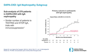 DAPA-CKD: IgA Nephropathy Subgroup
Sub-analysis of 270 patients
in DAPA-CKD with IgA
nephropathy
• Similar number of patients to
TESTING and STOP-IgA,
trials with
immunosuppression1
Wheeler DC, et al. Nephrol Dial Transplant. 2020 Oct 1;35(10):1700-1711. doi: 10.1093/ndt/gfaa234.
Wheeler DC. FR-OR58. Oral presentation given at Kidney Week Reimagined 2020.
Primary outcome in participants
with IgA nephropathy
0.00
0.12
0.04
0.24
Months since Randomization
Cumulative
Incidence
(%)
0 4 12 16 20 24 28 32
Hazard Ratio, 0.29 (95% CI, 0.12-0.73)
8
0.08
0.16
0.20
Placebo
Dapagliflozin
No at Risk
137 107 106 104 98 61 43 17
Dapagliflozin 105
133 113 108 96 92 51 32 19
Placebo 101
 