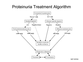 Proteinuria Treatment Algorithm
NKF KDOQI
 