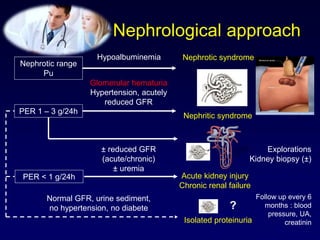 Nephrological approach
Nephrotic range
Pu
PER 1 – 3 g/24h
PER < 1 g/24h
Hypoalbuminemia
Glomerular hematuria
Hypertension, acutely
reduced GFR
± reduced GFR
(acute/chronic)
± uremia
Nephrotic syndrome
Nephritic syndrome
Acute kidney injury
Chronic renal failure
Follow up every 6
months : blood
pressure, UA,
creatininIsolated proteinuria
?
Normal GFR, urine sediment,
no hypertension, no diabete
Explorations
Kidney biopsy (±)
 
