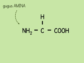 gugus AMINA

               H
         NH2   C   COOH
 