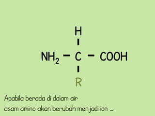 H
            NH2        C        COOH

                       R
Apabila berada di dalam air
asam amino akan berubah menjadi ion …
 