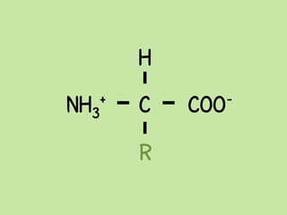 H
NH3   +   C   COO-


          R
 