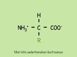 H
  NH3    +      C         COO-


                R
Mari kita sederhanakan ilustrasinya
 