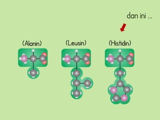 dan ini ..

(Alanin)   (Leusin)   (Histidin)
 