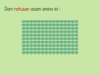 Dari ratusan asam amino ini :
 