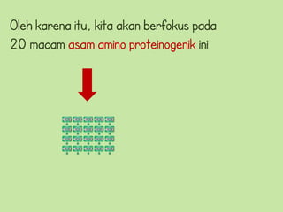 Oleh karena itu, kita akan berfokus pada
20 macam asam amino proteinogenik ini
 