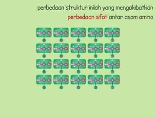 perbedaan struktur inilah yang mengakibatkan
           perbedaan sifat antar asam amino
 