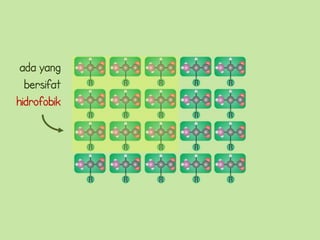 ada yang
  bersifat
hidrofobik
 