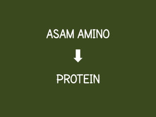 ASAM AMINO


 PROTEIN
 