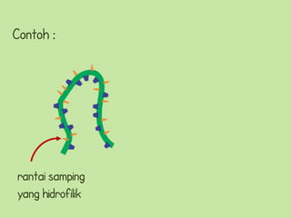 Contoh :




rantai samping
yang hidrofilik
 