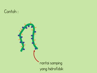 Contoh :




           rantai samping
           yang hidrofobik
 