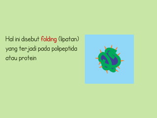 Hal ini disebut folding (lipatan)
yang terjadi pada polipeptida
atau protein
 