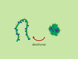 denaturasi
 
