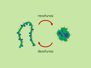 renaturasi




denaturasi
 