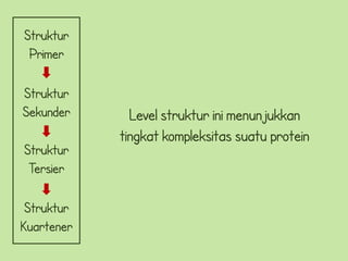 Struktur
 Primer

Struktur
Sekunder      Level struktur ini menunjukkan
            tingkat kompleksitas suatu protein
Struktur
 Tersier

 Struktur
Kuartener
 