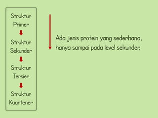Struktur
 Primer
            Ada jenis protein yang sederhana,
Struktur
Sekunder    hanya sampai pada level sekunder
                                           ,

Struktur
 Tersier

 Struktur
Kuartener
 