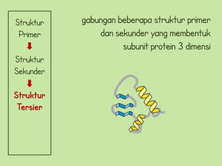 Struktur   gabungan beberapa struktur primer
 Primer        dan sekunder yang membentuk
                     subunit protein 3 dimensi
Struktur
Sekunder

Struktur
 Tersier
 