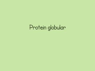 Protein globular
 