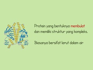 Protein yang bentuknya membulat
dan memiliki struktur yang kompleks.

Biasanya bersifat larut dalam air
 