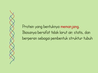 Protein yang bentuknya memanjang.
Biasanya bersifat tidak larut air statis, dan
                                ,
berperan sebagai pembentuk struktur tubuh
 