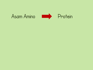 Asam Amino   Protein
 