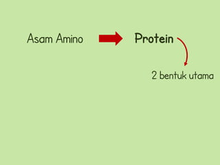 Asam Amino   Protein

               2 bentuk utama
 