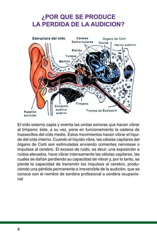 4
El oído externo capta y orienta las ondas sonoras que hacen vibrar
al tímpano; éste, a su vez, pone en funcionamiento la cadena de
huesecillos del oído medio. Estos movimientos hacen vibrar el líqui-
do del oído interno. Cuando el líquido vibra, las células capilares del
órgano de Corti son estimuladas enviando corrientes nerviosas o
impulsos al cerebro. El exceso de ruido, es decir, una exposición a
ruidos elevados, hace vibrar intensamente las células capilares, las
cuales se dañan perdiendo su capacidad de vibrar y, por lo tanto, se
pierde la capacidad de transmitir los impulsos al cerebro, produ-
ciendo una pérdida permanente e irreversible de la audición, que se
conoce con el nombre de sordera profesional o sordera ocupacio-
nal
¿POR QUE SE PRODUCE
LA PERDIDA DE LA AUDICION?
 