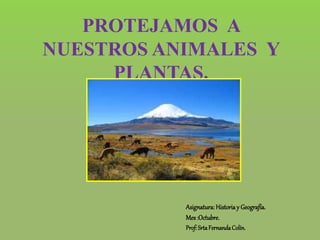 PROTEJAMOS A
NUESTROS ANIMALES Y
PLANTAS.
Asignatura: Historiay Geografía.
Mes:Octubre.
Prof:SrtaFernandaColín.
 