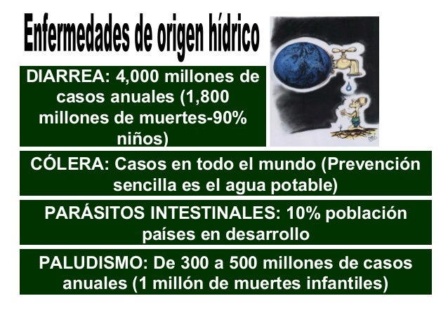 En kale las lombrices que curar