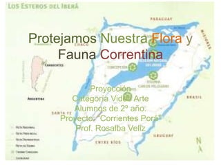 Protejamos Nuestra Flora y
Fauna Correntina
Proyección
Categoría Video Arte
Alumnos de 2º año.
Proyecto: “Corrientes Porá”
Prof. Rosalba Veliz
 