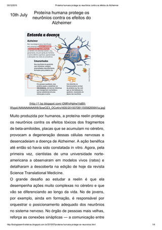 03/12/2015 Proteína humana protege os neurônios contra os efeitos do Alzheimer
http://biologiasemfronteiras.blogspot.com.br/2015/07/proteina­humana­protege­os­neuronios.html 1/4
10th July
[http://1.bp.blogspot.com/­GMIfviHplrw/VaBX­
XfygxI/AAAAAAAAAW8/SowOZ3_OCo4/s1600/20150708115558265641a.jpg]
Muito produzida por humanos, a proteína reelin protege
os neurônios contra os efeitos tóxicos dos fragmentos
de beta­amiloides, placas que se acumulam no cérebro,
provocam  a  degeneração  dessas  células  nervosas  e
desencadeiam a doença de Alzheimer. A ação benéfica
até então só havia sido constatada in vitro. Agora, pela
primeira  vez,  cientistas  de  uma  universidade  norte­
americana  a  observaram  em  modelos  vivos  (ratos)  e
detalharam a descoberta na edição de hoje da revista
Science Translational Medicine.
O  grande  desafio  ao  estudar  a  reelin  é  que  ela
desempenha ações muito complexas no cérebro e que
vão se diferenciando ao longo da vida. No de jovens,
por  exemplo,  ainda  em  formação,  é  responsável  por
orquestrar  o  posicionamento  adequado  dos  neurônios
no sistema nervoso. No órgão de pessoas mais velhas,
reforça as conexões sinápticas — a comunicação entre
Proteína humana protege os
neurônios contra os efeitos do
Alzheimer
 