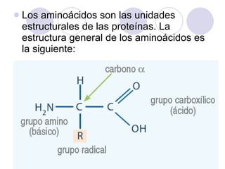 <ul><li>Los aminoácidos son las unidades estructurales de las proteínas. La estructura general de los aminoácidos es la si...