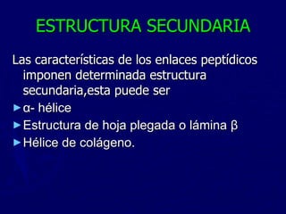 ESTRUCTURA SECUNDARIA Las características de los enlaces peptídicos imponen determinada estructura secundaria,esta puede ser α - hélice Estructura de hoja plegada o lámina  β   Hélice de colágeno. 