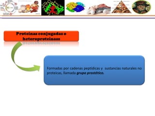 Formadas por cadenas peptídicas y  sustancias naturales no proteicas, llamada  grupo prostético. 