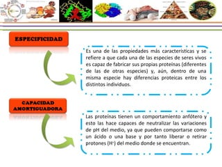 Es una de las propiedades más características y se refiere a que cada una de las especies de seres vivos es capaz de fabricar sus propias proteínas (diferentes de las de otras especies) y, aún, dentro de una misma especie hay diferencias proteicas entre los distintos individuos.  Las proteínas tienen un comportamiento anfótero y esto las hace capaces de neutralizar las variaciones de pH del medio, ya que pueden comportarse como un ácido o una base y por tanto liberar o retirar protones (H + ) del medio donde se encuentran. 