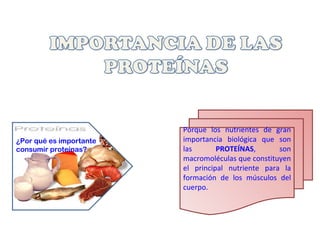 Porque los nutrientes de gran importancia biológica que son las  PROTEÍNAS , son macromoléculas que constituyen el principal nutriente para la formación de los músculos del cuerpo.  ¿Por qué es importante  consumir proteínas?   