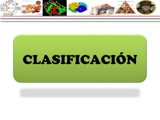 CLASIFICACIÓN 