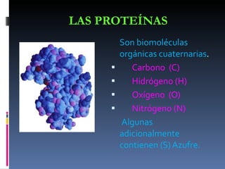 LAS PROTEÍNAS <ul><li>Son biomoléculas orgánicas cuaternarias . </li></ul><ul><li>Carbono  (C) </li></ul><ul><li>Hidrógeno...