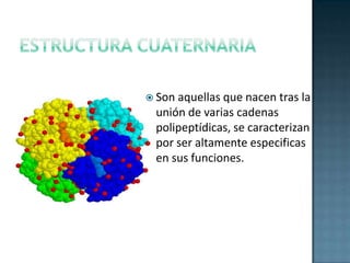 Desnaturalización Se llama desnaturalización al proceso donde una proteína pierde su estructura para convertirse en una mas básica. 