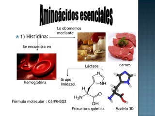 Aminoácidos esencialesLo obtenemosmediante2) Isoleucina: FormaHuevosPescadosHemoglobinaGrupo sec-butilo(1-metilpropilo) Fórmula molecular :C6H13NO2Modelo 3DEstructura química