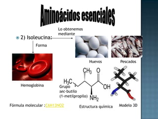 Aminoácidos esencialesLo obtenemosmediante3) Leucina: CicatrizaciónSoja y trigoCarnesTejido muscularHuesos Grupo isobutilo (2-metilpropilo)PielFórmula molecular :C6H13NO2Estructura químicaModelo 3D