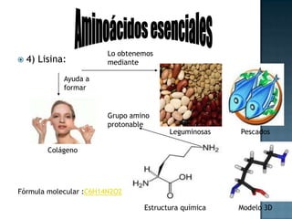 Aminoácidos esencialesLo obtenemosmediante5) Metionina: Ayuda a la descomposiciónGrupoTioéterR-S-RPescadosLácteosGrasasFórmula molecular :C5H11NO2SEstructura químicaModelo 3D