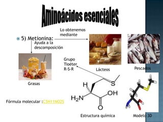 Aminoácidos esencialesLo obtenemosmediante6)Fenilalanina: Utilizado porelEspárragosLeguminosasGrupoanillobencénicoCerebroAfecta estado de ánimo,Dolor, memoria y aprendizaje.Fórmula molecular :C9H11NO2Modelo 3DEstructura química