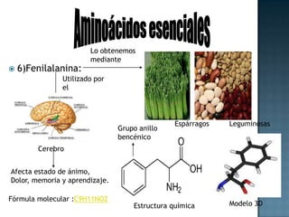 7) Treonina: Aminoácidos esencialesAlimentos ricos en treoninaAyuda a mantenerCantidad adecuadaDe proteínas enEl cuerpo.AvesLentejasGrupo hidroxiloFórmula molecular :C4H9NO3   Estructura química