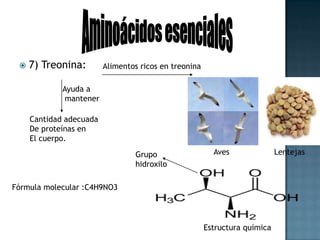Aminoácidos esencialesAlimentos ricos en triptófano8)Triptófano: Es unRelajante naturalGrupo anilloindolChocolateAvenaSueño normalEstabilizaestado de   ánimoReducela ansiedady la depresiónFórmula molecular :C11H12N2O2Estructura químicaModelo 3D