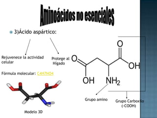 Aminoácidos no esenciales4) Cisteína: Protege el cuerpo contra el daño por radiaciónPromueve larecuperaciónde quemadurasgraves y la cirugíaGrupo aminoGrupocarboxiloFórmula molecular: C3H7NO2SGrupo Tiol   (-SH)Modelo   3DEstructura química