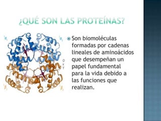 ¿Qué SON LAS PROTEÍNAS?Son biomoléculas formadas por cadenas lineales de aminoácidos  que desempeñan un papel fundamental para la vida debido a las funciones que realizan.
